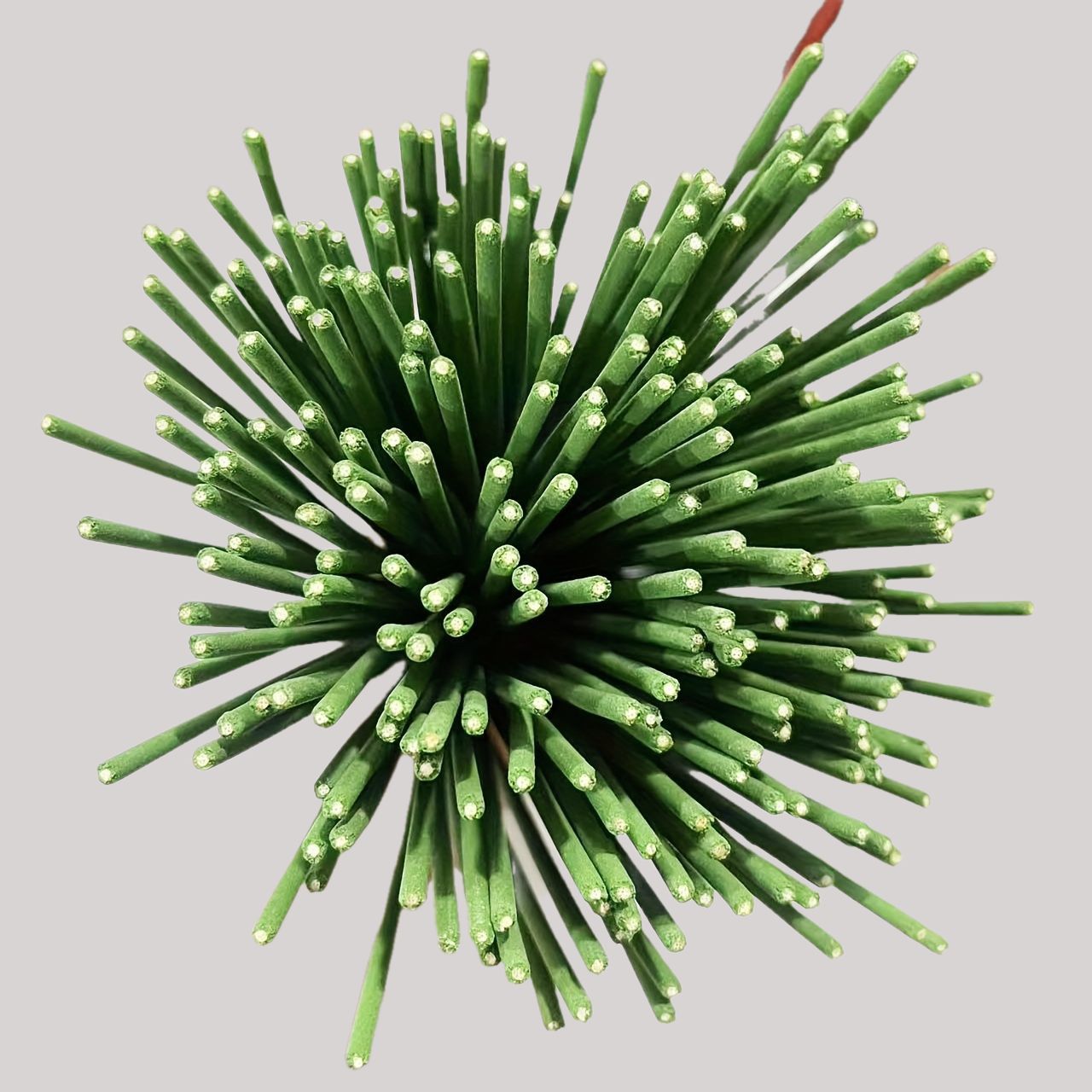 Reed difusor varas capim-limão - Home Fragrance M&S Disinfectant Hack avaliação e preço