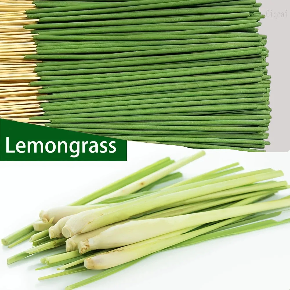 Reed difusor varas capim-limão - Home Fragrance M&S Disinfectant Hack avaliação e preço